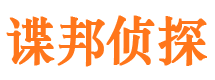 铁锋侦探公司